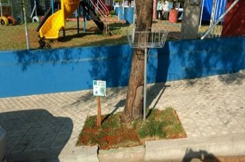 Divinolândia implanta Espaço Árvore em prédios públicos municipais