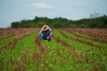 Produtores Rurais devem realizar o DIPAM até o dia 28 de março