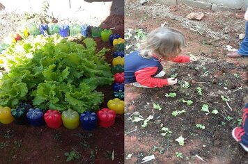 Escolas de Divinolândia desenvolvem projeto ambiental com horta orgânica