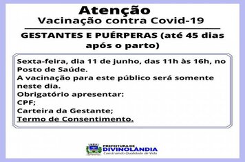 Vacinação de Gestantes e Puérperas (até 45 dias após o parto)