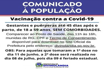 Grávidas e puérperas até 45 dias após o parto de 18 a 59 anos; sem comorbidades