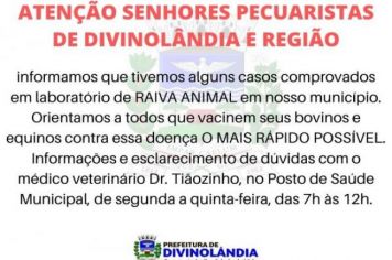 Comprovados em laboratório casos de raiva animal no município