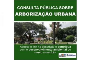 Prefeitura lança questionário que vai auxiliar construção participativa do Plano Municipal de Arborização Urbana