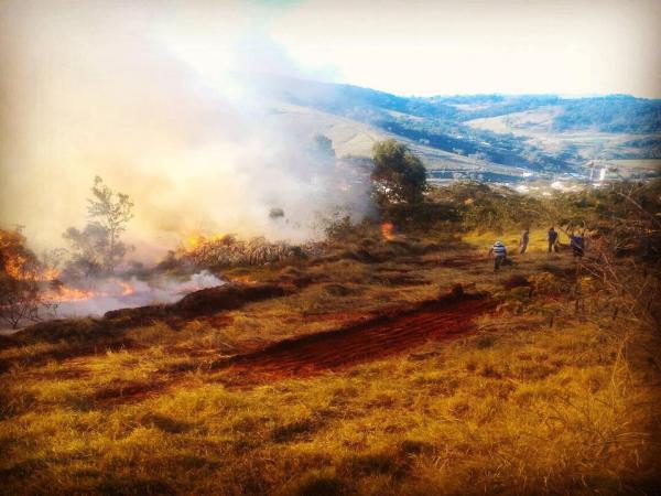 Defesa Civil; servidores; Corpo de Bombeiros; população e Cerri combatem incêndio em Divinolândia