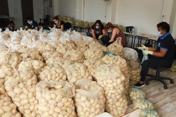 Fundo Social promoveu distribuição de batatas à famílias em vulnerabilidade social
