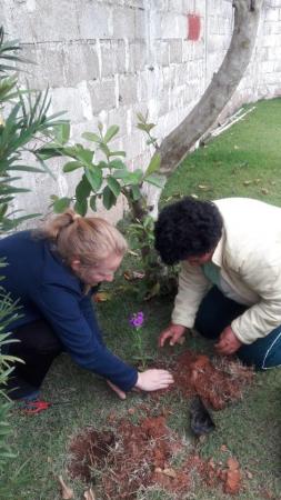 CMAIS desenvolve educação ecológica para comemorar chegada da Primavera