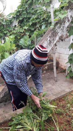 CMAIS Divinolândia desenvolve projeto ambiental “Horta na Escola”