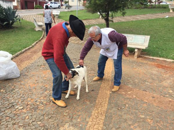 Mais de 3 mil cães e gatos foram vacinados durante campanha contra raiva