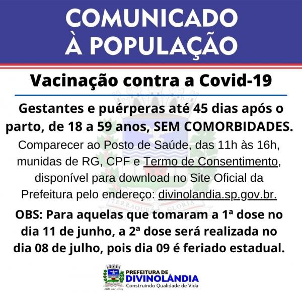 Grávidas e puérperas até 45 dias após o parto de 18 a 59 anos; sem comorbidades