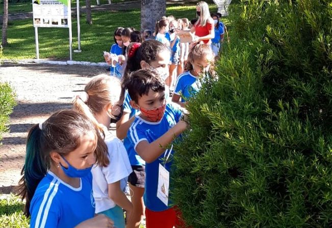 Alunos montam Árvore dos Desejos Natalinos na Praça da Matriz.